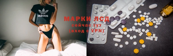 прущие грибы Орск