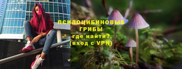 spice Сосновый Бор